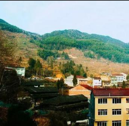 坑源村(浙江省溫州市甌海區澤雅鎮下轄村) 坑源村(浙江省溫州市甌海區澤雅鎮下轄村)
