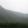 九峰山(湖南省衡陽縣九峰山) 九峰山(湖南省衡陽縣九峰山)