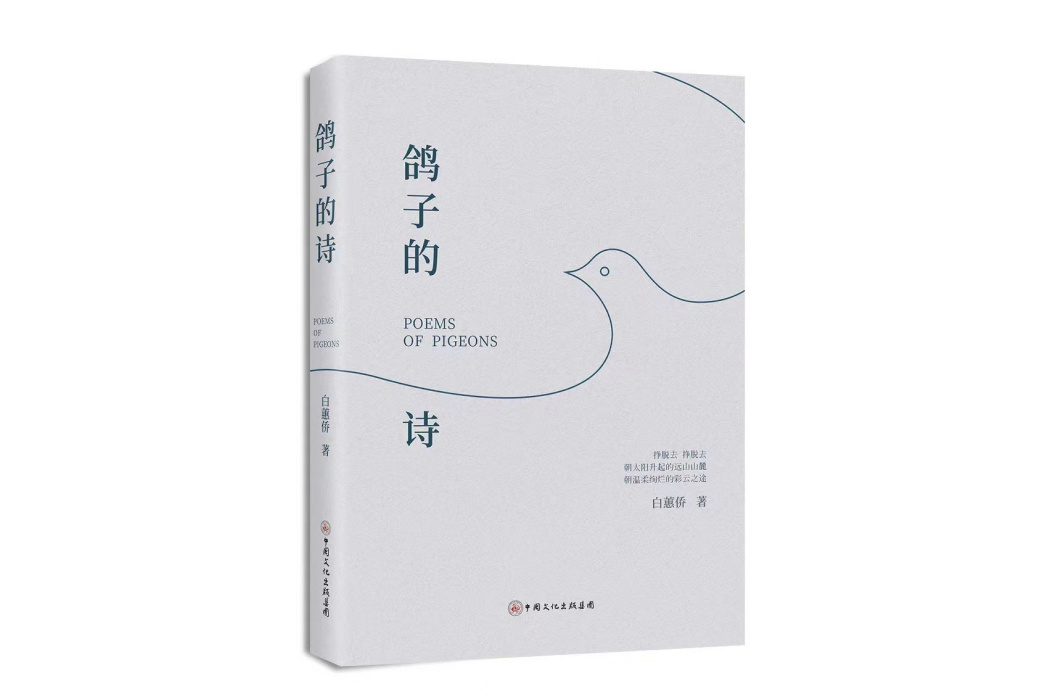 鴿子的詩