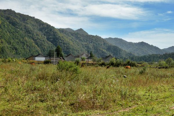 刁家莊村(山東省青島市萊西市孫受鎮下轄村) 刁家莊村(山東省青島市萊西市孫受鎮下轄村)
