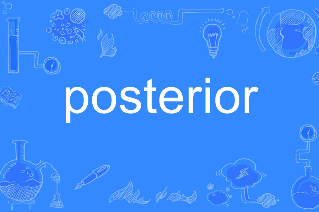 posterior posterior
