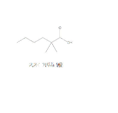 2-二甲基己酸 2-二甲基己酸