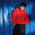 你的美麗(李琦歌曲)