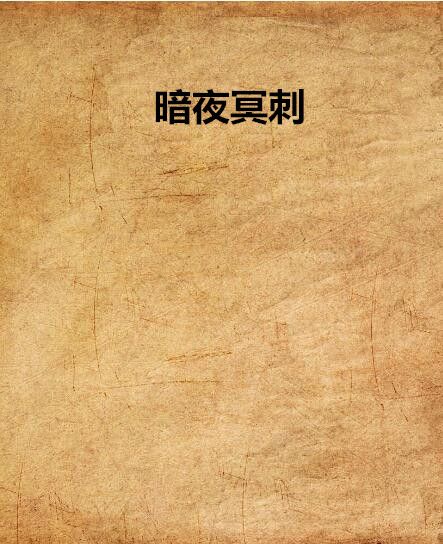 暗夜冥刺 暗夜冥刺