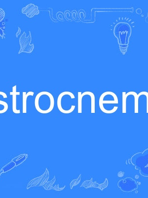 gastrocnemius gastrocnemius