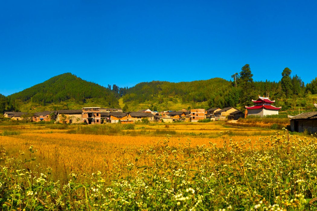 禾洋村 禾洋村