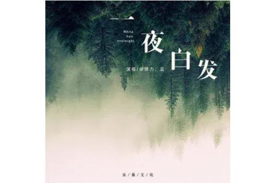 一夜白髮 一夜白髮