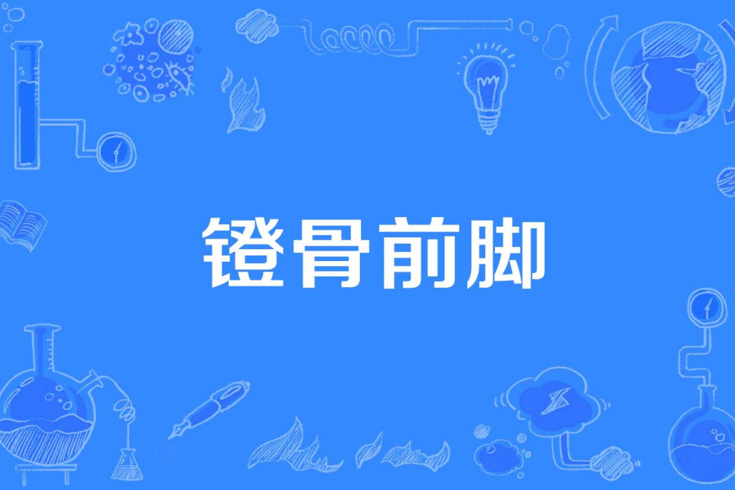 鐙骨前腳 鐙骨前腳