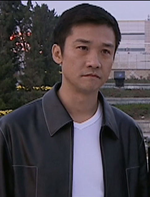 底牌(2005年黃志忠王慶祥主演的電視劇)