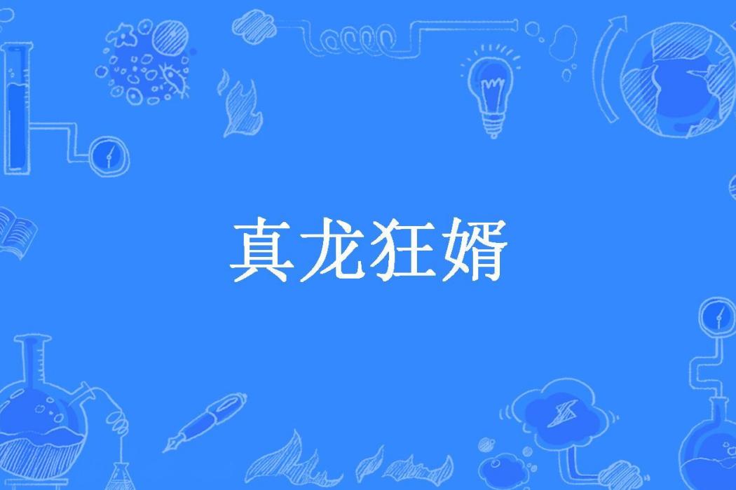真龍狂婿(大師兄所著小說)