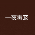 一夜毒寵 一夜毒寵