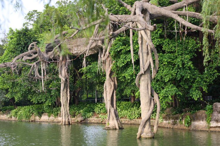 雷崗公園 雷崗公園