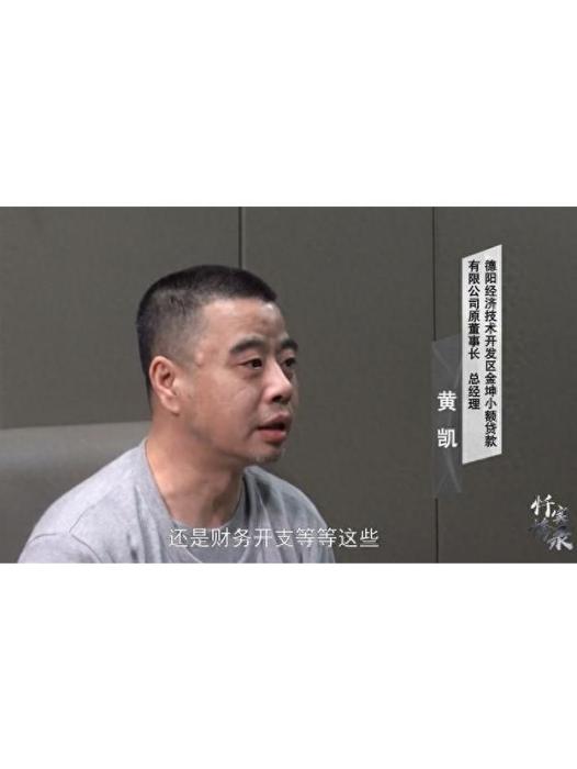黃凱(四川省德陽經濟技術開發區金坤小額貸款有限公司原董事長、總經理) 黃凱(四川省德陽經濟技術開發區金坤小額貸款有限公司原董事長、總經理)