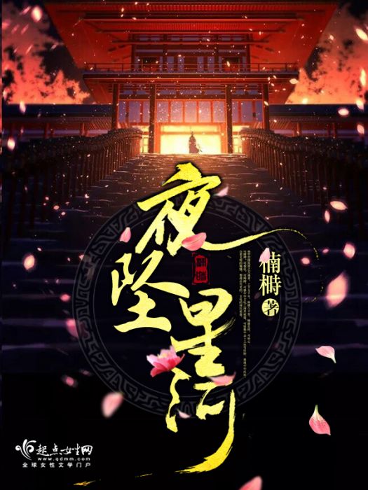 夜墜星河 夜墜星河