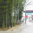 上灣村(江西餘干縣古埠鎮下轄村)