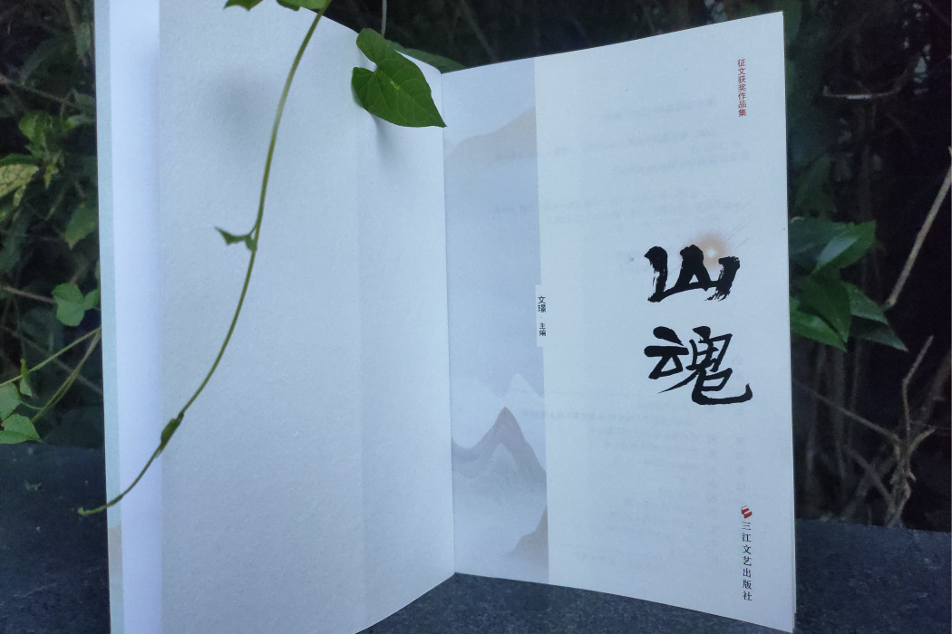 山魂(2020年三江文藝出版社出版的圖書) 山魂(2020年三江文藝出版社出版的圖書)