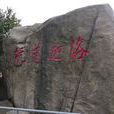 洛迦山 洛迦山