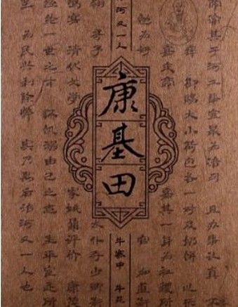 康忱