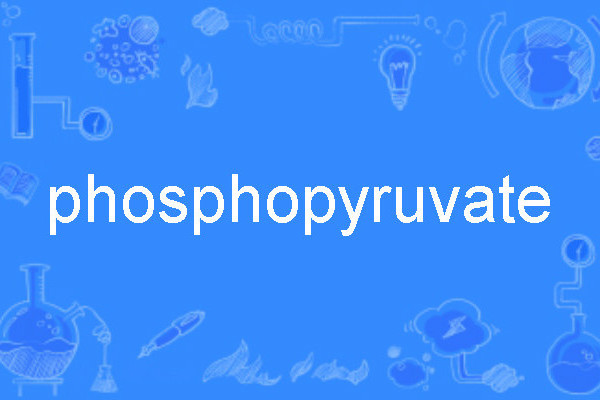 phosphopyruvate phosphopyruvate