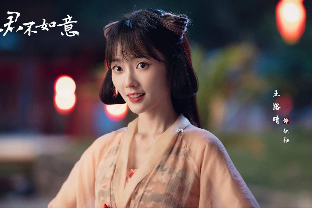 紅袖(電視劇《郎君不如意》中的女配角) 紅袖(電視劇《郎君不如意》中的女配角)