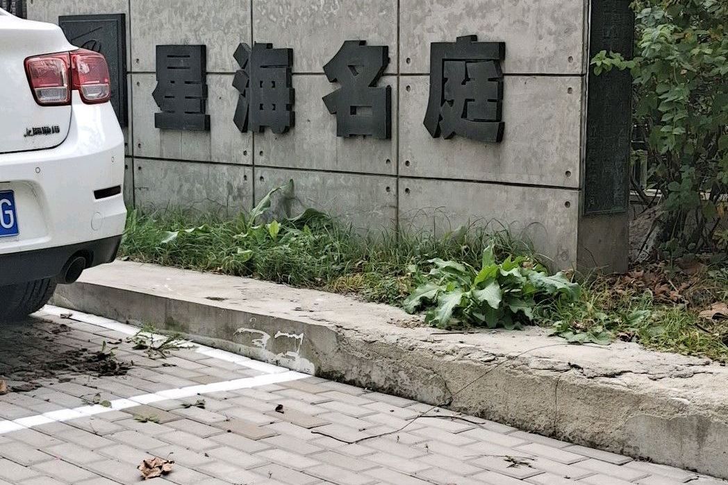 星海名庭 星海名庭