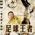 足球王者(小說名稱) 足球王者(小說名稱)