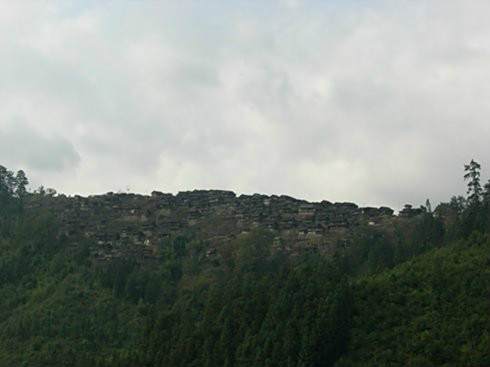 大歹村 大歹村