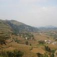 楊家寨村(雲南昭通鎮雄縣花山鄉下轄村) 楊家寨村(雲南昭通鎮雄縣花山鄉下轄村)