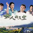 女人的天空(2011年張新建執導電視劇) 女人的天空(2011年張新建執導電視劇)