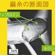 絲膠 絲膠