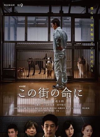 田中裕子 田中裕子