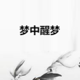 夢中醒夢