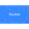 flexible(英語單詞) flexible(英語單詞)