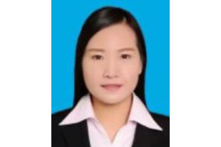 張佳(商洛職業技術學院教師) 張佳(商洛職業技術學院教師)