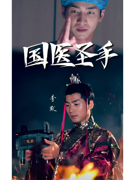 國醫聖手 國醫聖手