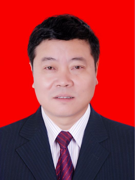 杜少傑(河南省漯河市臨潁縣紀委常委、監察委委員) 杜少傑(河南省漯河市臨潁縣紀委常委、監察委委員)