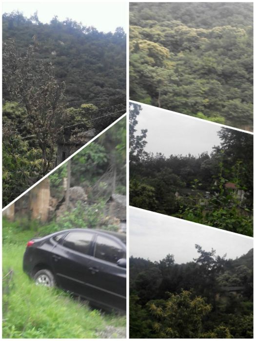 孫家沖村 孫家沖村