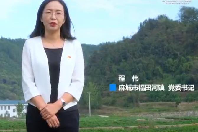 程偉(湖北省黃岡市麻城市委常委,市政府黨組成員、副市長) 程偉(湖北省黃岡市麻城市委常委,市政府黨組成員、副市長)