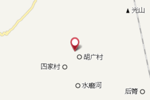 玉蘭花樹 玉蘭花樹