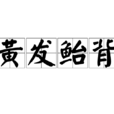 黃髮鮐背 黃髮鮐背