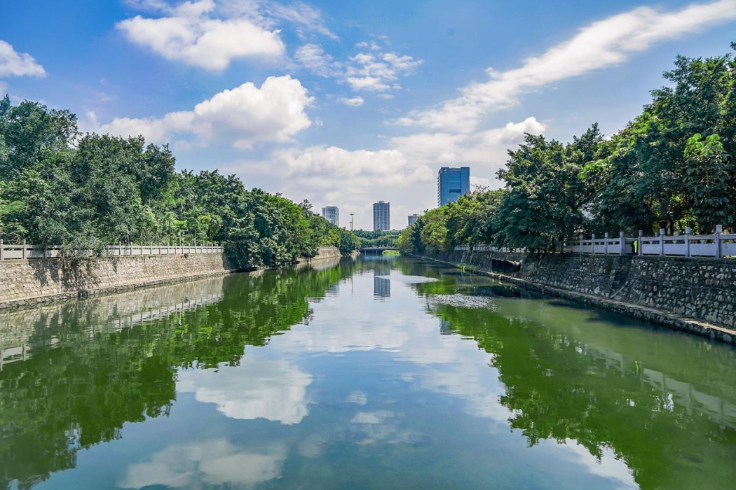 新圳河 新圳河