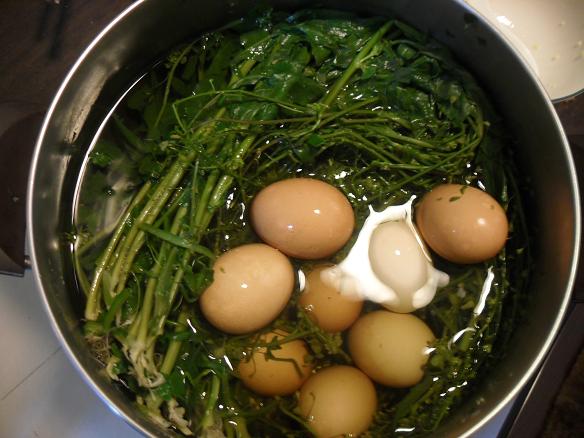 薺菜花煮雞蛋