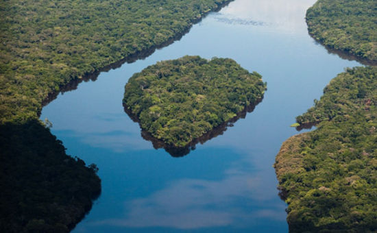 剛果雨林