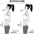 腹式呼吸法(腹式呼吸) 腹式呼吸法(腹式呼吸)