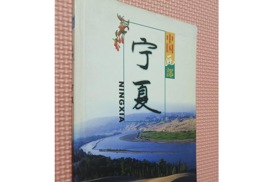 寧夏(2001年五洲傳播出版社出版的圖書) 寧夏(2001年五洲傳播出版社出版的圖書)