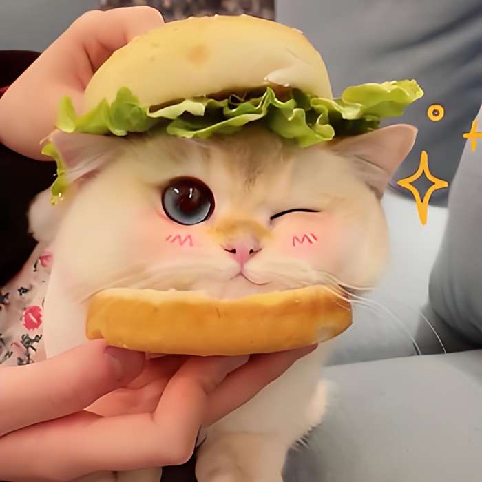 ☀️晴天 ☀️晴天