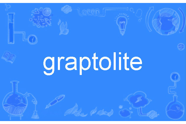 graptolite graptolite