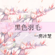 黑色羽毛 黑色羽毛