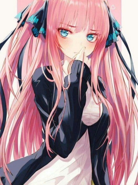him 與 ceris him 與 ceris
