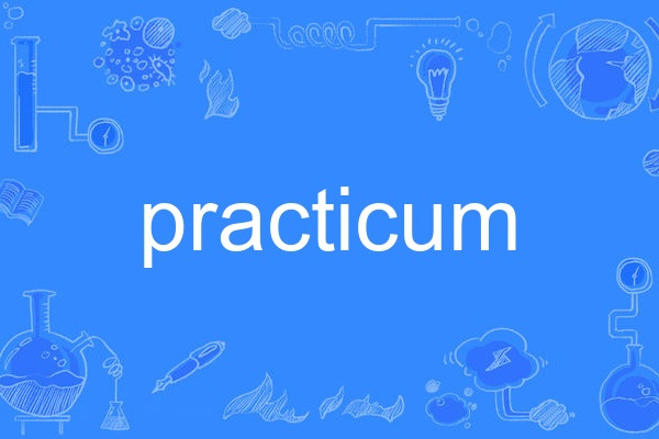 practicum practicum